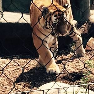 Meet your Posher, Wendy